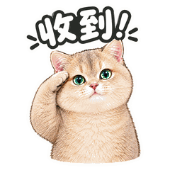 示例表情包