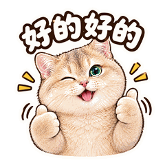 日常系列 · 壹 2