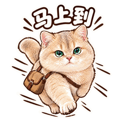 日常系列 · 壹 5