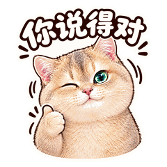 日常系列 · 壹 8