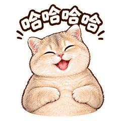 日常系列 · 壹 9
