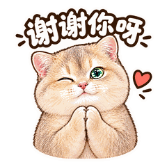 日常系列 · 壹 11